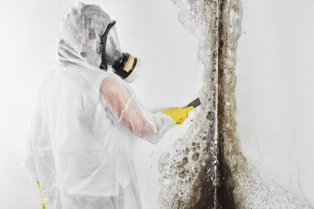 Certified Mold Removal in North Sioux City, SD