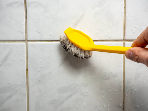 Best Mold Removal Company Near Me  in North Sioux City, SD