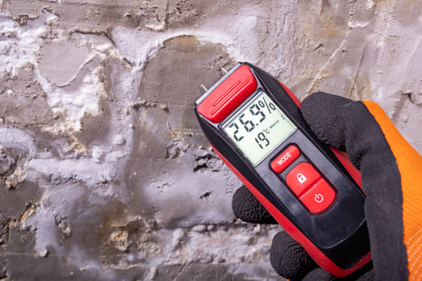 Best Mold Remediation  in North Sioux City, SD